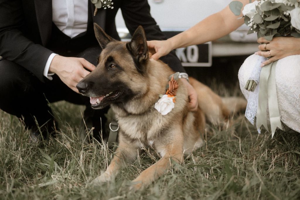 Photographe mariage Alpes Fort Marie Therese